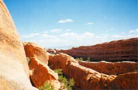 Steinrippen im Arches National Park